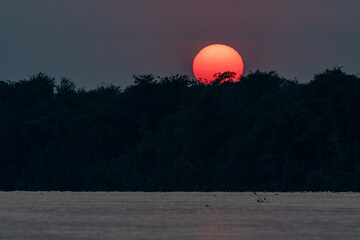 Sunrise at the river, Pantanal, Brazil.