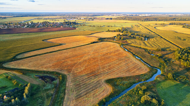 September agriculture fields aerial panorama. Sunny autumn landscape. Corn harvest.