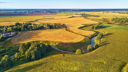 Farmland Corn harvest. September agriculture fields aerial panorama. Sunny autumn landscape