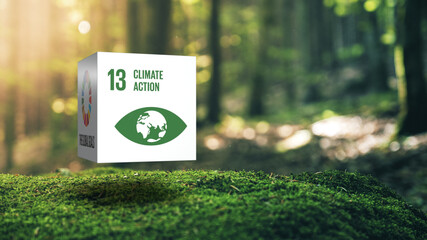 Sustainable Development 13 Climate Action in Moss Forrest Background 17 Global Goals Concept Cube Design - obrazy, fototapety, plakaty