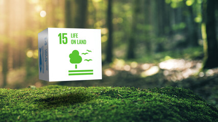 Sustainable Development 15 Life On Land in Moss Forrest Background 17 Global Goals Concept Cube...