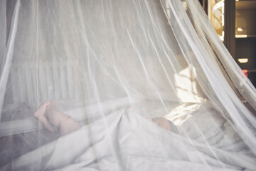 Baby girl lying in net draped crib grasping bed sheet