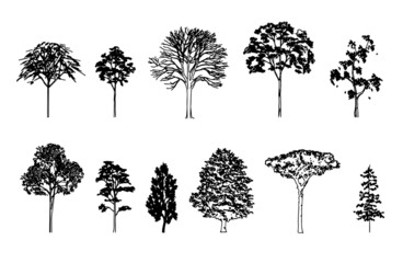 Set of trees.