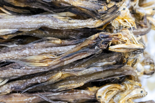 Close up view of a pile of dried bombay duck sea fish with selective focus