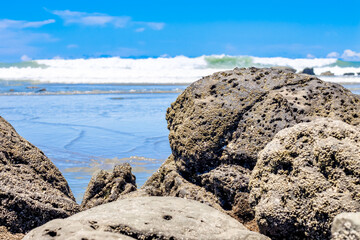 Big stones with algae on a sea beach under the bright sunny sky