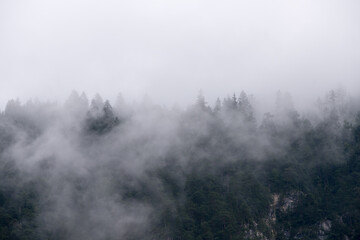 un panorama di montagna ricco di nuvole, una brutta giornata di montagna con le nuvole dense sopra il bosco