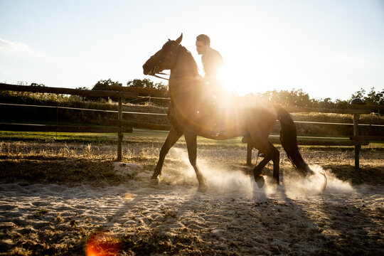 Man riding horse in countryside paddock in sunshine