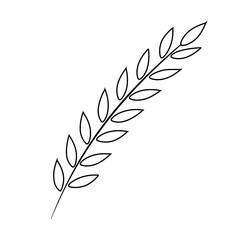 Vector image. Plant leaf drawn by a thin line. Black branch on a white background. Ideal template for design, print, art objects, print for textiles, postcards.