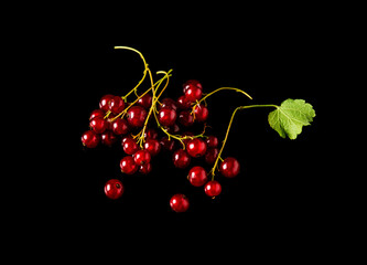 Red currant berries and leaves on a black background close-up. Vitamin-rich berries for a delicious diet