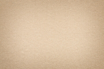 Fototapeta na wymiar Cardboard Texture Background - Brown Paperboard Sheet Texture Background