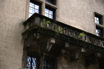 concrete balustrade of the balcony with a geometric pattern covered with moss and small trees growing ou
