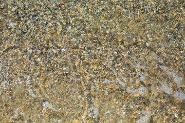 clear sea water, stones and shells under water