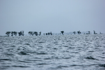 Tanguar haor the most famous place in Bangladesh during monsoon season back in 2016