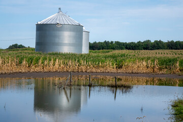 Flooded farmland around a corn field and silos in summer in Michigan, USA.