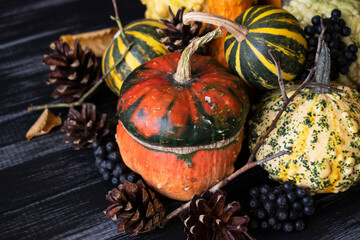 multicolored pumpkins, cones, black berries and branches for halloween