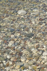 Pebbles on the beach.Colorful pebbles under clear water. Vertical