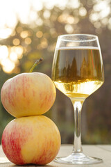 A glass of apple wine,cider, juice . Ripe summer apples are lying nearby. High quality photo