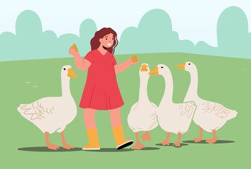 Obraz na płótnie Canvas Girl Feeding Fowl on Nature. Child in Outdoor Zoo Park or Farm. Baby Character Care of Geese Birds on Poultry Farmland