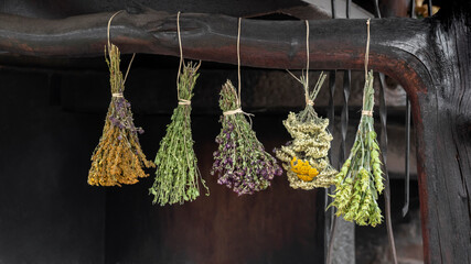 Various hanging drying bunches of medicinal herbal plants. Harvesting of wild healing herbs. Rural life scene. Bouquets of mountain meadow flowers under roof of old village house. Alternative medicine