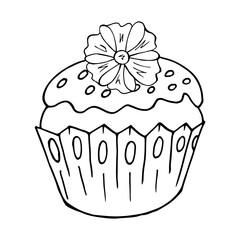 Cupcake linear icon with flower, muffin in hand draw style. Vector illustration. Outline drawing, coloring book. Sign