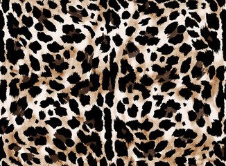 Seamless leopard pattern, jaguar pattern