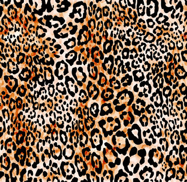 Seamless leopard pattern, jaguar pattern