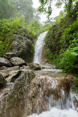 Waterfall in the forest.