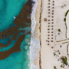 Marine pollution by seaweed. White sandy beach. There are many algae near the coast in the sea, emitting toxins and poisoning all living things. Environmental problems, global warming.