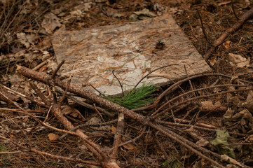 old rusty tin can