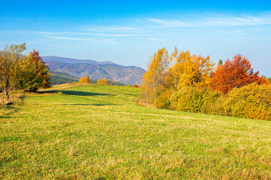autumnal countryside scenery in mountains. trees in colorful foliage on the grassy meadows. hills rolling in to the distance. wonderful environment of carpathians in fall season on a sunny day