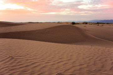 Fototapeta na wymiar Desert dunes at sunrise