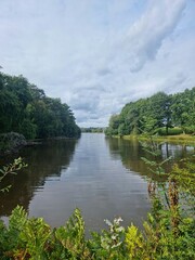 Obraz premium lake and forest