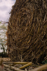 hay bale in the field