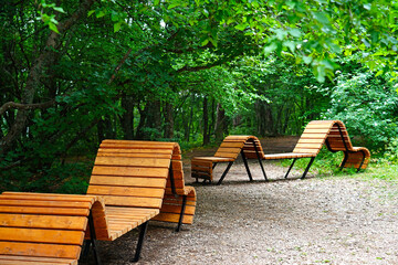 Benches made of wood of an interesting geometric shape are installed in the park under green trees