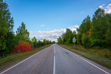 Fototapeta premium The road through the forest. There are road signs on the side of the road.