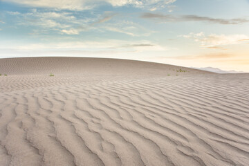 Desert landscape of sand dunes