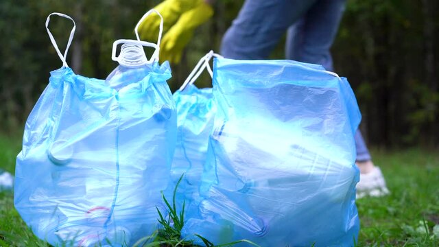 a young female volunteer cleans garbage in nature. bottles with waste in the forest, putting them in plastic bags.