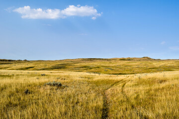 Grasslands Trail