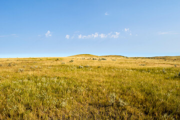 Grasslands Hill