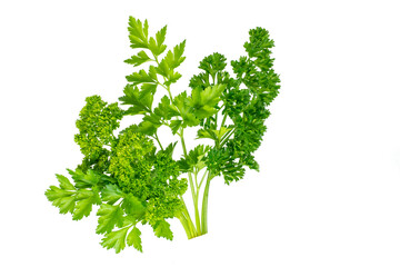 Parsley is a beautiful bunch of different varieties of green parsley isolated on a white background. A fragrant vitamin seasoning for nutrition. Healthy food concept