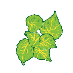 Begonias Vector Illustration