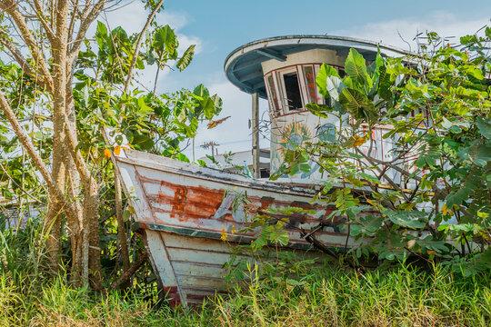 O barco do ribeirinho da amaz&ocirc;nia &eacute; uma canoa de madeira tradicional que &eacute; usada pelos ribeirinhos para transportar pessoas e cargas pelos rios da amaz&ocirc;nia.