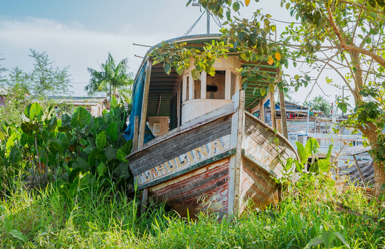 O barco do ribeirinho da amaz&ocirc;nia &eacute; uma canoa de madeira tradicional que &eacute; usada pelos ribeirinhos para transportar pessoas e cargas pelos rios da amaz&ocirc;nia.