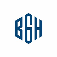 BGH Initial three letter logo hexagon