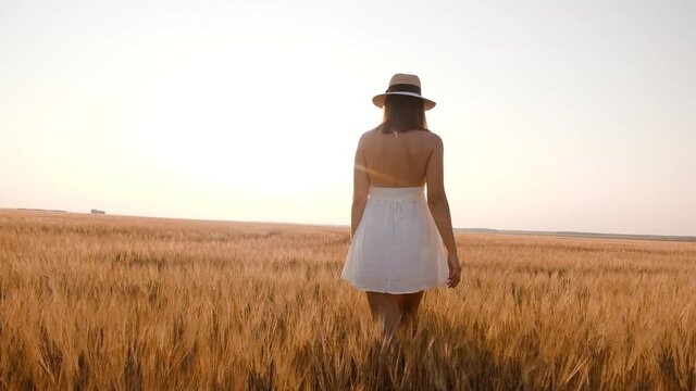 Happy free young woman walking away in slow motion across field, touching ears of wheat with her hand. Wheat field on sunset background