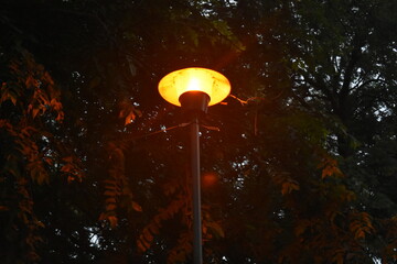 luz nocturna 