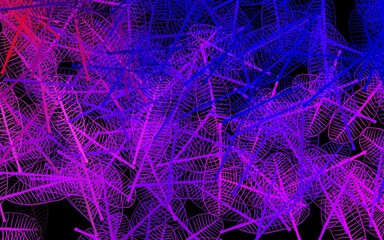 Dark Purple, Pink vector doodle texture with leaves.