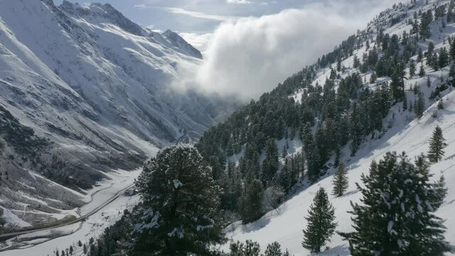 Aerial view moving forward shot, Scenic view snow covered pine trees in K&uuml;htai Glacier in Tyrol, Austria, cloudy sky in the background.