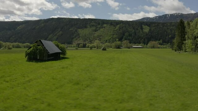 Aerial view moving away shot, trees sprouting out of the abandon shed in Liezen, Austria, scenic view green fields and bright sunny day in the background.