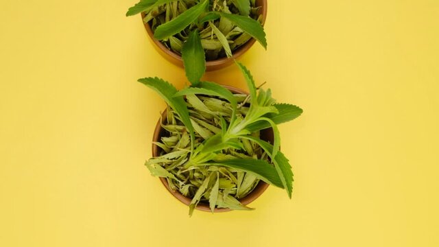 Stevia rebaudiana.Dry and fresh stevia on yellow background.natural low calorie sweetener. High quality 4k footage